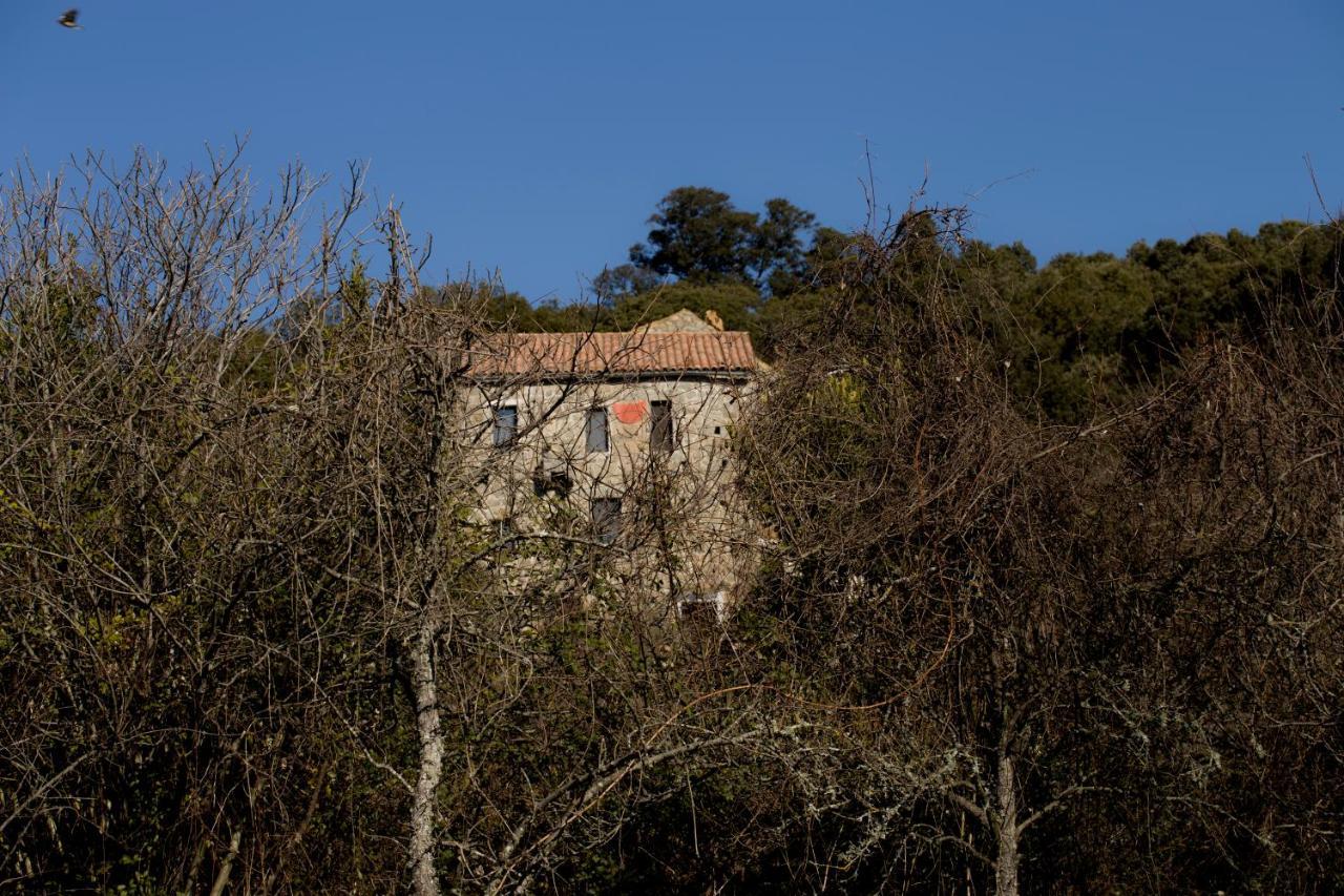 Casa Giacometti Grosseto-Prugna ภายนอก รูปภาพ
